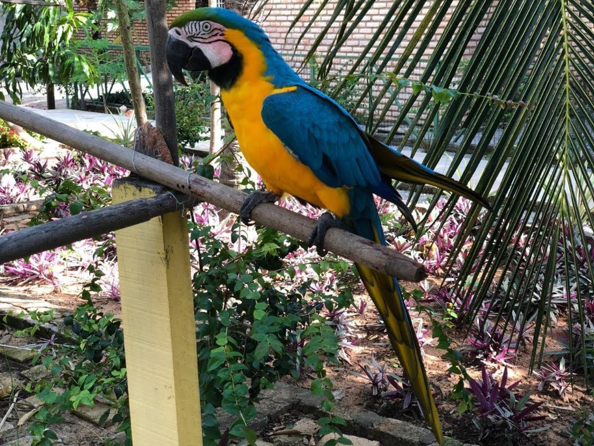 Chalet Chacara Do Alemao
