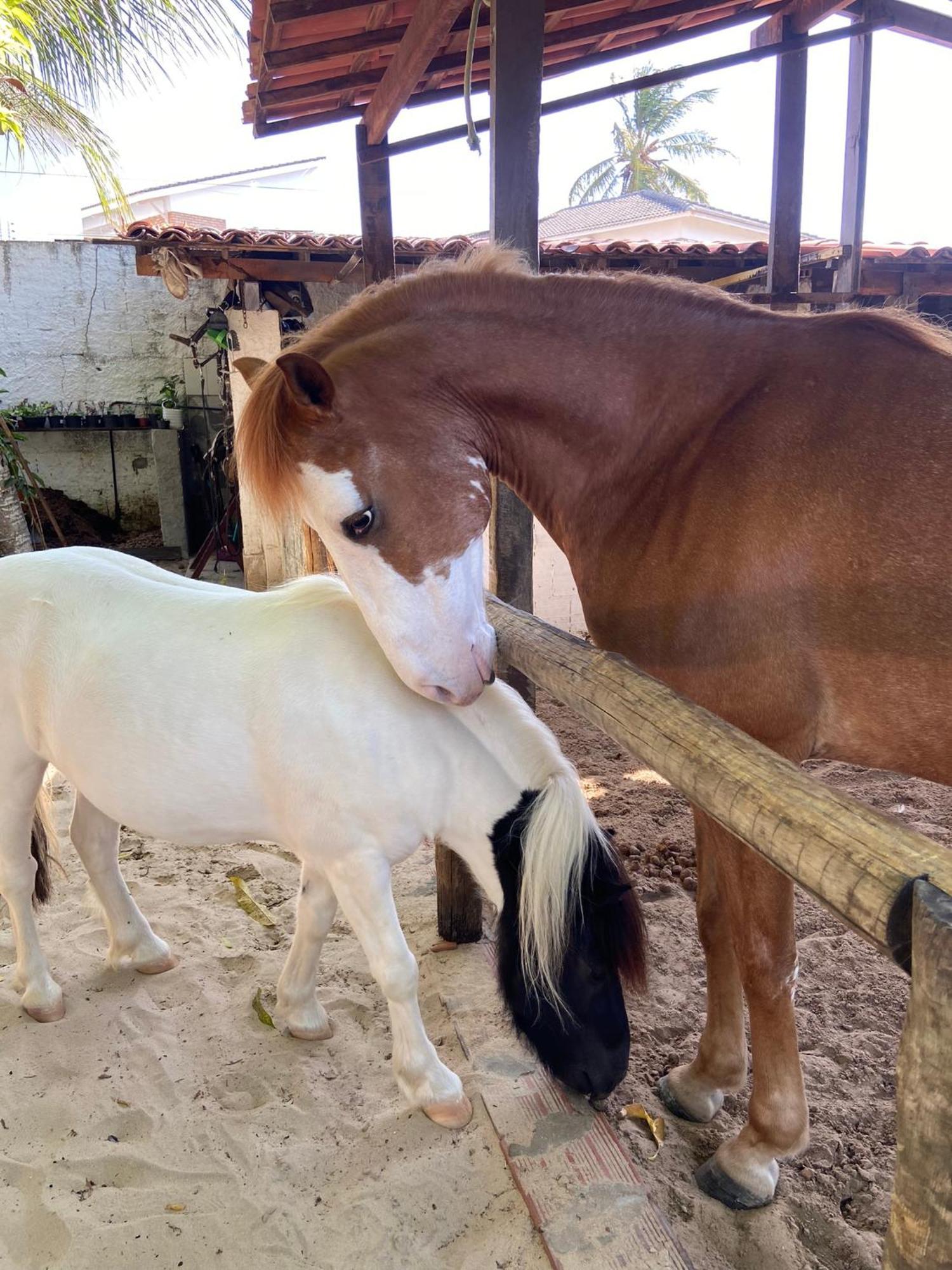 Chalet Chacara Do Alemao *